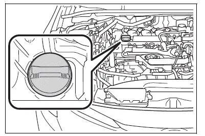 Toyota Corolla E210. Engine compartment