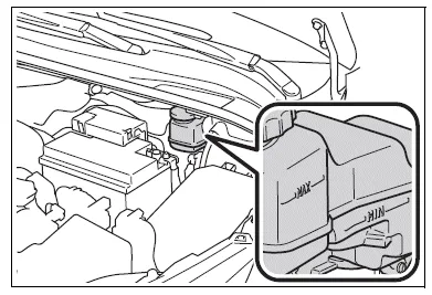 Toyota Corolla E210. Engine compartment