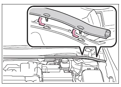 Toyota Corolla E210. Engine compartment