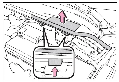 Toyota Corolla E210. Engine compartment