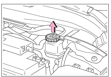 Toyota Corolla E210. Engine compartment