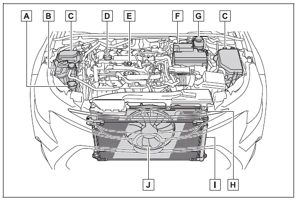 Toyota Corolla E210. Engine compartment