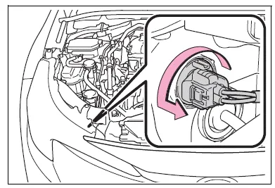 Toyota Corolla E210. Light bulbs